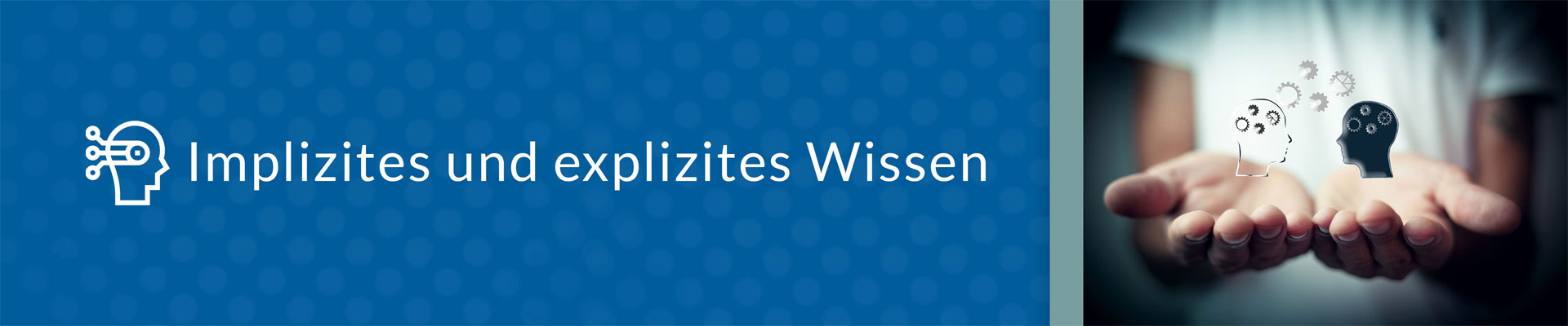 innolytics-implizites-und-explizites-wissen-